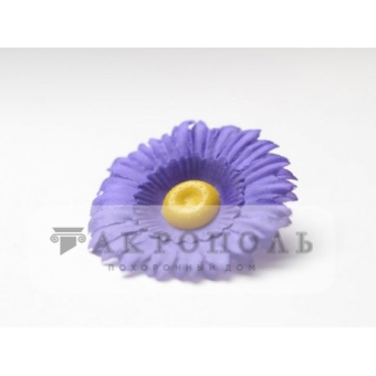 Ромашка (фиолетовая)