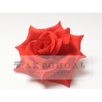 Роза бархат