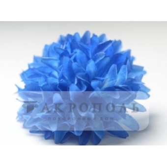 Хризантема (голубая)