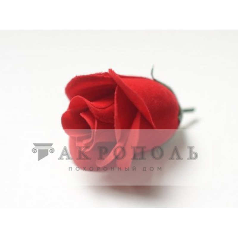 Роза бутон бархат